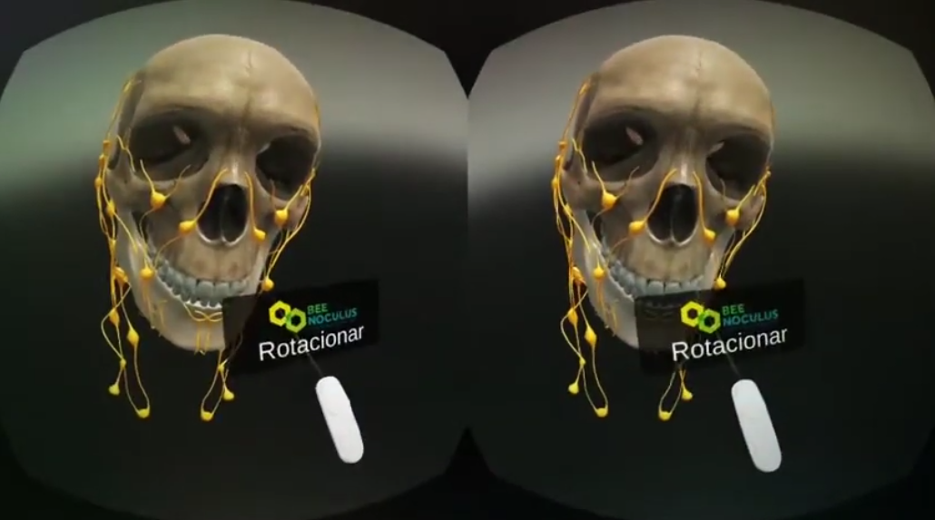 Head Anatomy VR