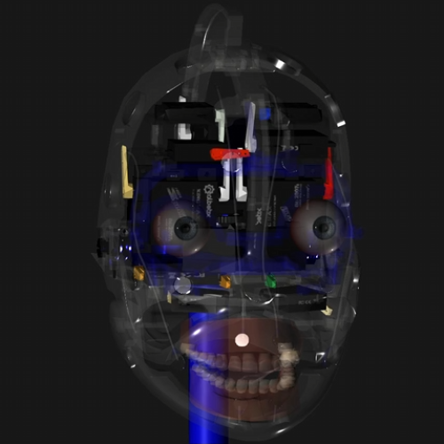 Robot Head Controller