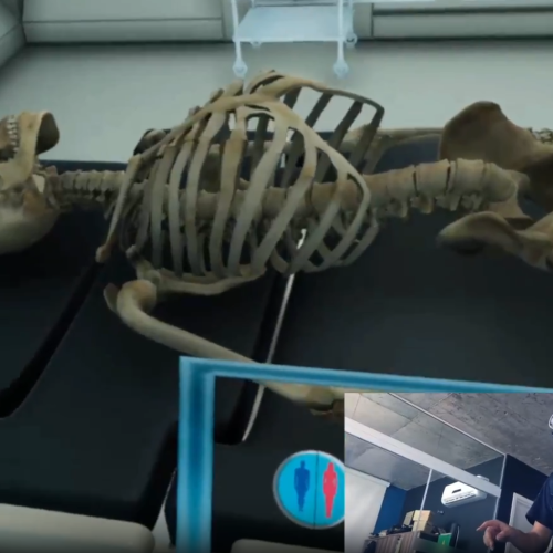 Human Body VR